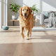 Perro Golden Retriever caminando sobre suelo laminado de alta resistencia en una vivienda reformada con diseño y suelos pet-friendly.