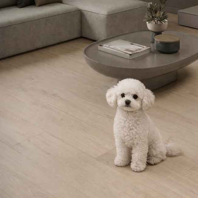 Perro caniche toy blanco sentado en un salón moderno con suelo vinílico para mascotas, acabado imitación madera clara, junto a un sofá en tonos neutros y una mesa de centro de diseño, mostrando un espacio acogedor, resistente y fácil de limpiar para hogares con animales.